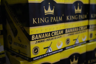 King Palm Preis-Leistung: Lohnt sich der Kauf?