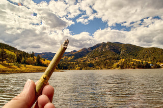 King Palm Blunts: Die tabakfreie Alternative zu klassischen Blunts